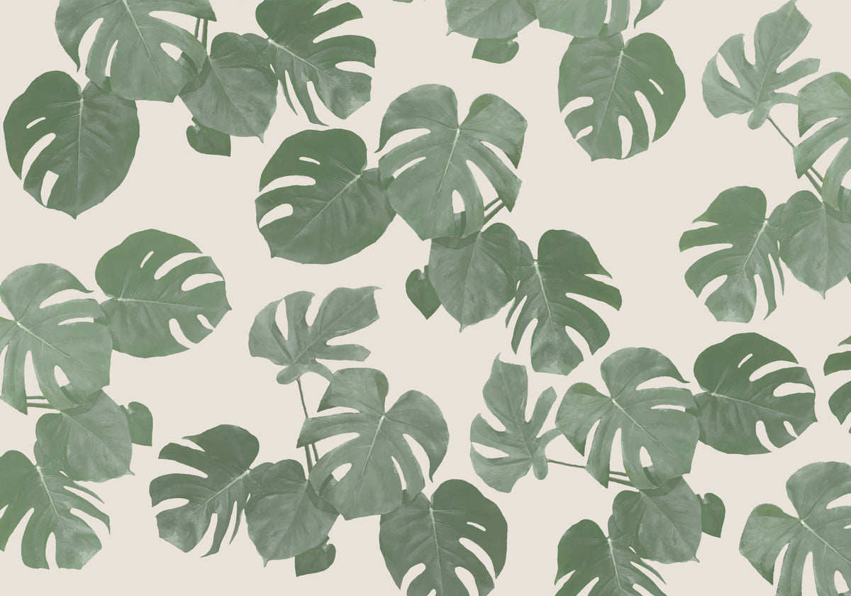 Monstera Dreams Wall Mural -2304903 in your room — zoomed