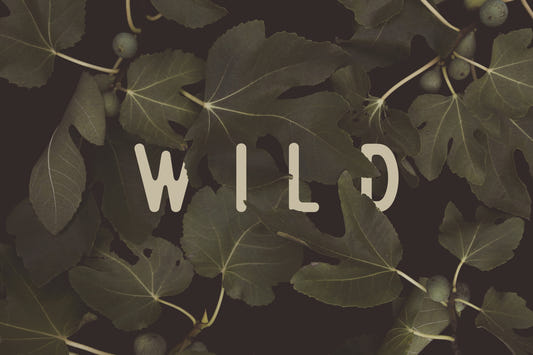 Fig Leaves: Stay Wild Wall Mural -2489734
