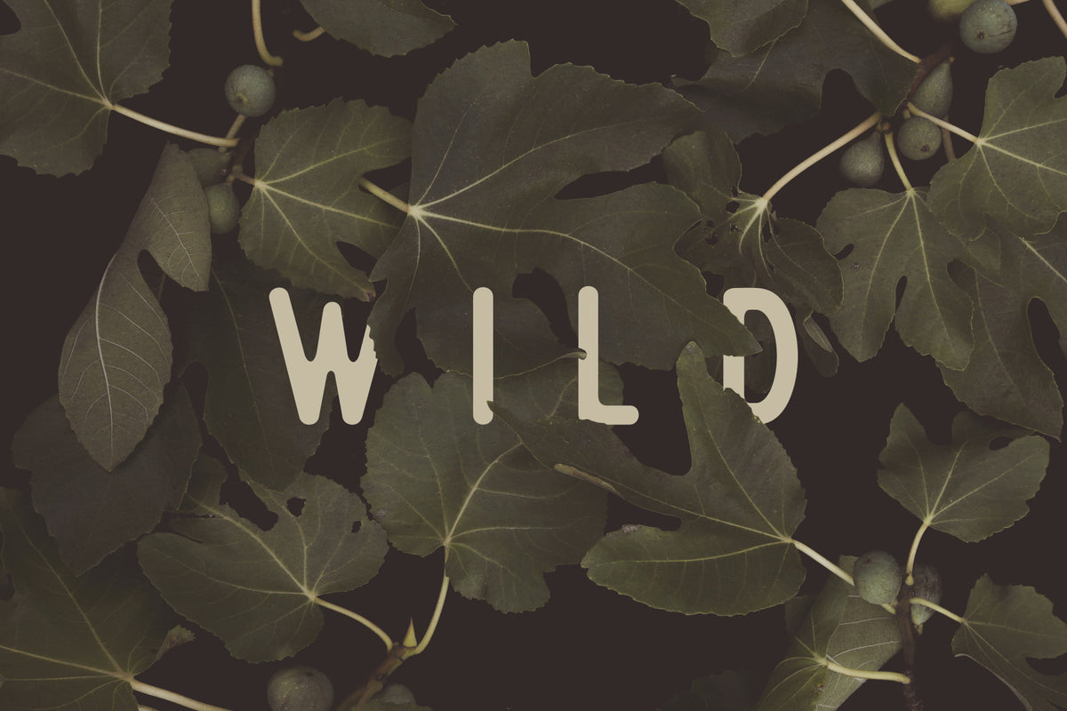 Fig Leaves: Stay Wild Wall Mural -2489734