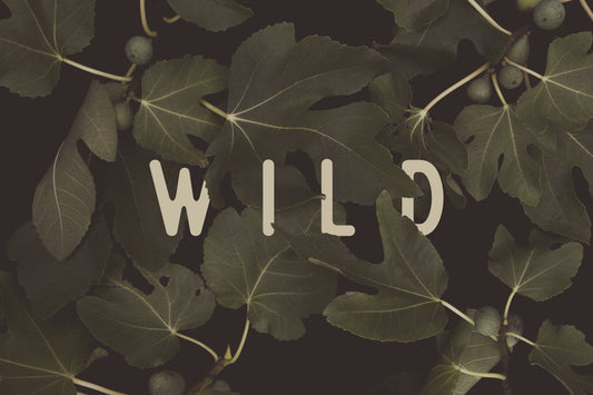 Fig Leaves: Stay Wild Wall Mural -2489734