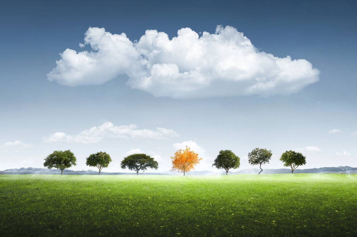 Standing Out Wall Mural -2210883