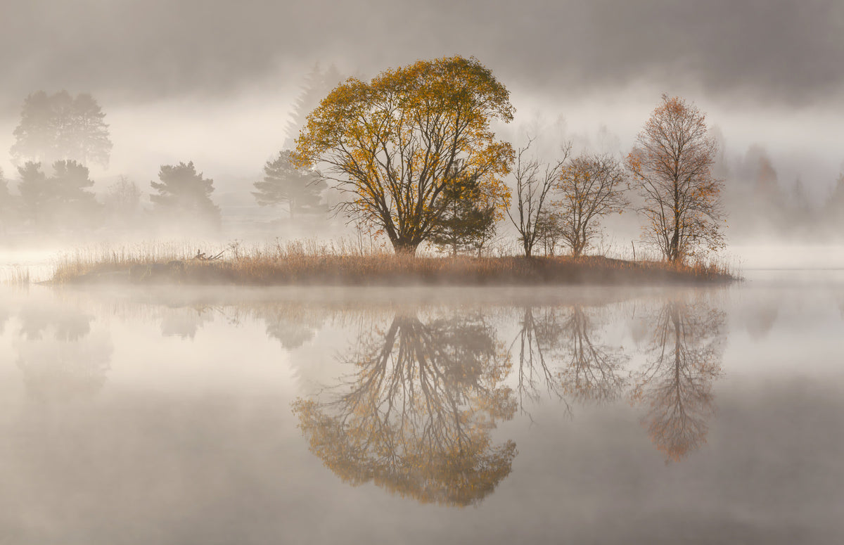 Autumnal Serenity Wall Mural -2425987 in your room