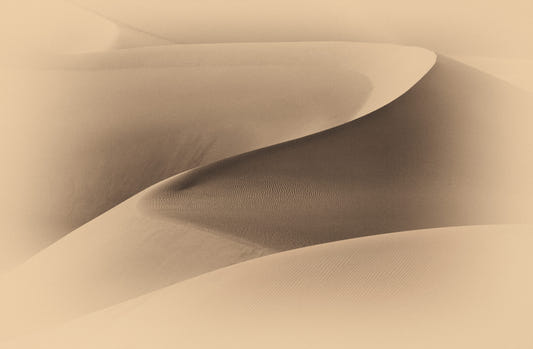 Desertscape Wall Mural -2310080