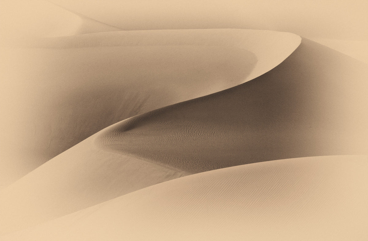 Desertscape Wall Mural -2310080 in your room