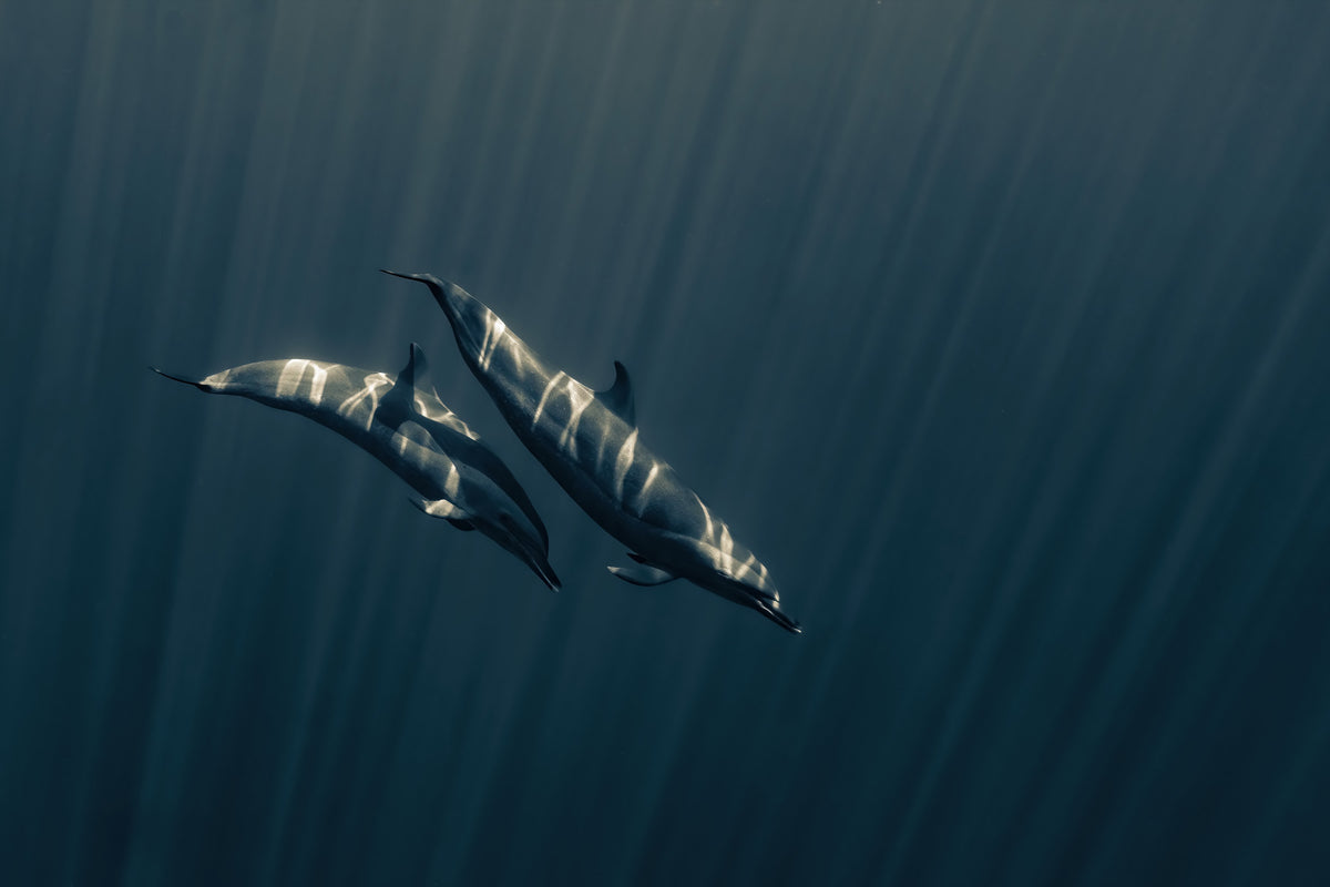Deep Blue Journey Wall Mural -2370629 in your room — zoomed