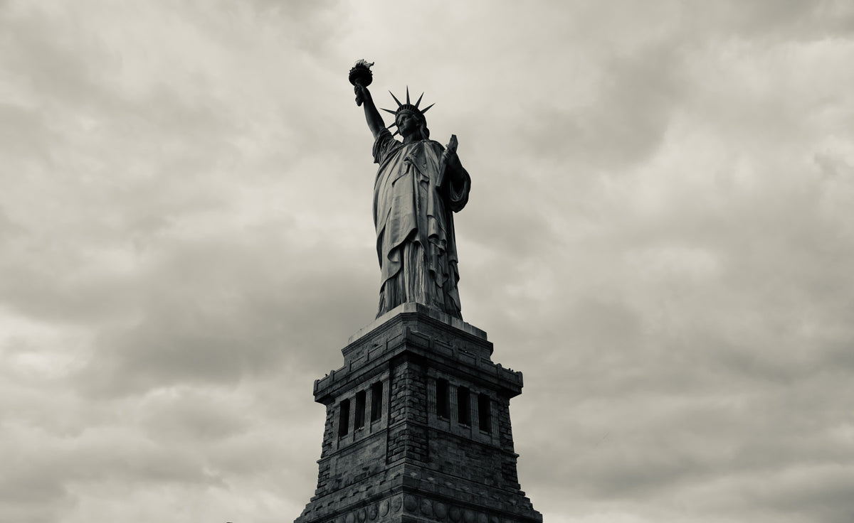 Liberty's Monochrome Gaze Wall Mural - 2313701 in your room