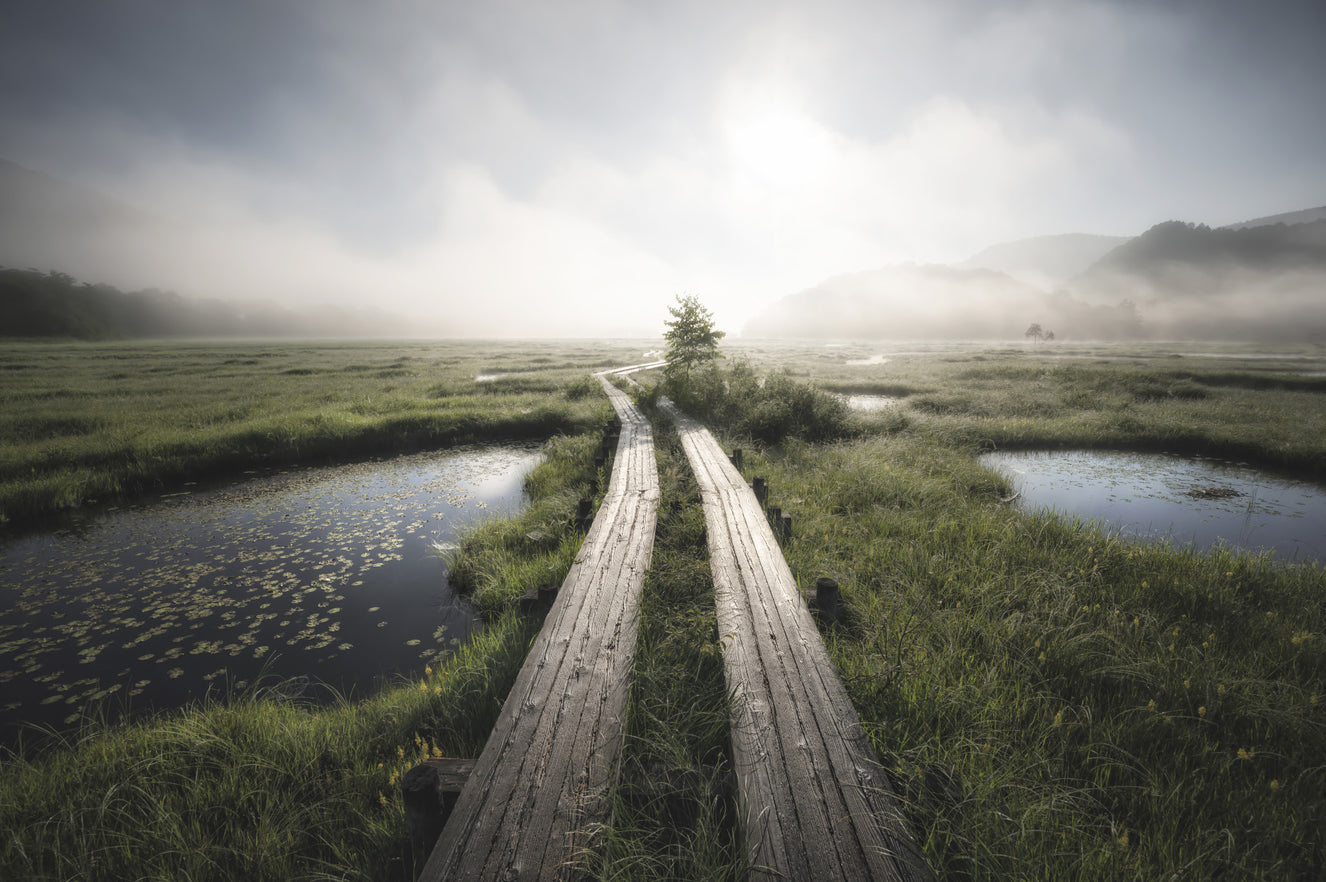 Ethereal Path Wall Mural -2284946
