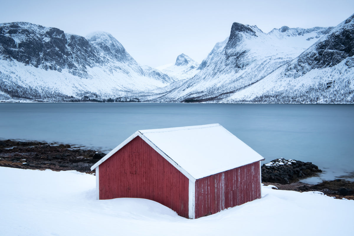 Winter Solitude Wall Mural -2213163 in your room — zoomed
