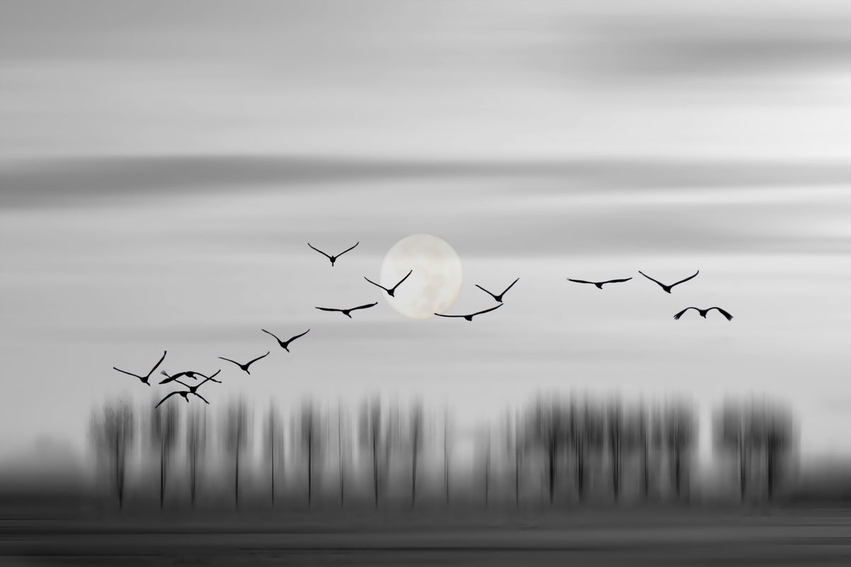 Lunar Flight Wall Mural -2275637 in your room — zoomed