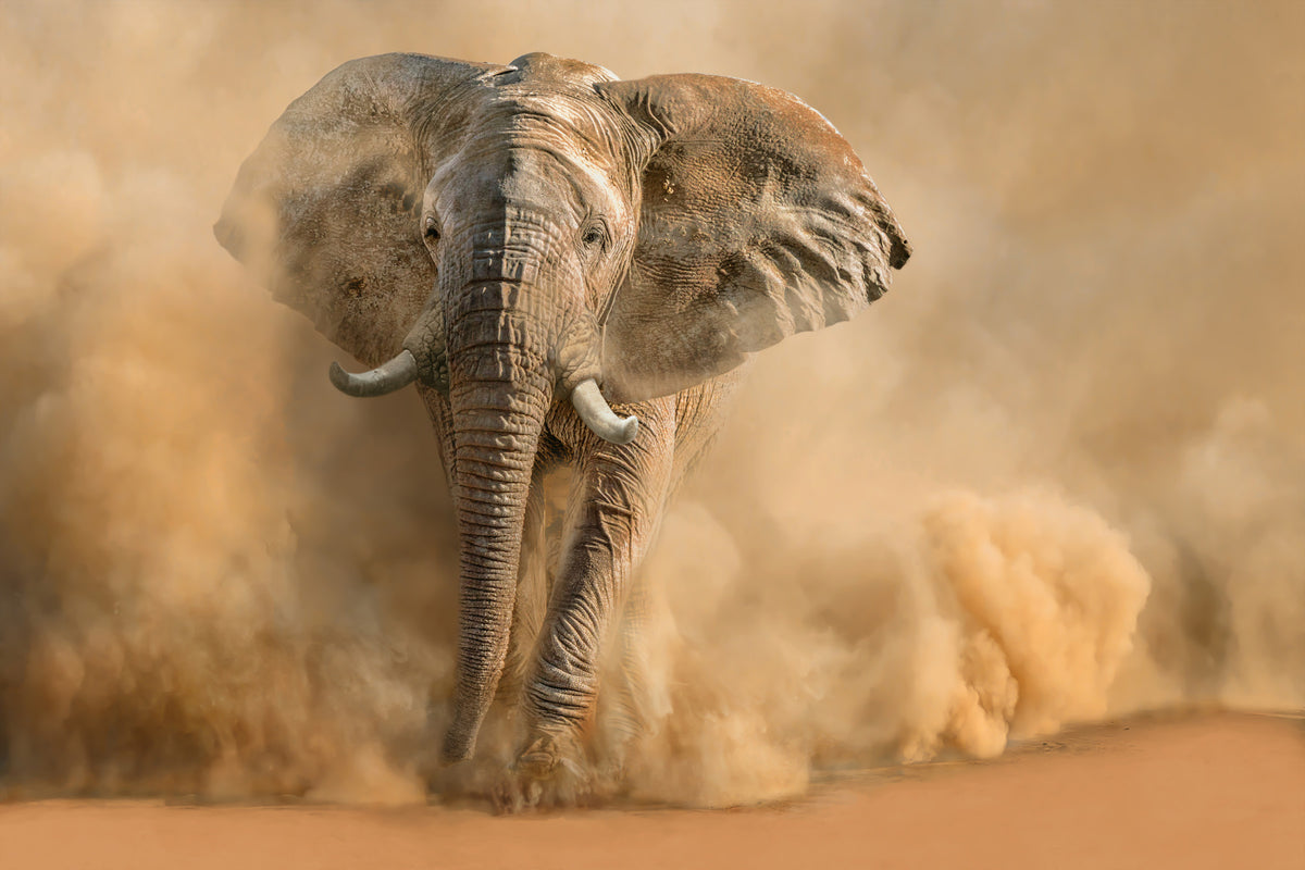 Dust Storm Charge Wall Mural -2244884 in your room
