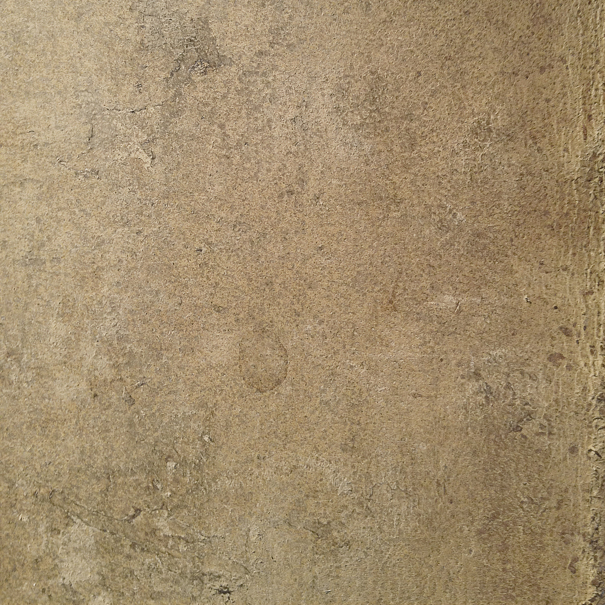 Aged Leather - Chamois Wall Mural in your room — zoomed