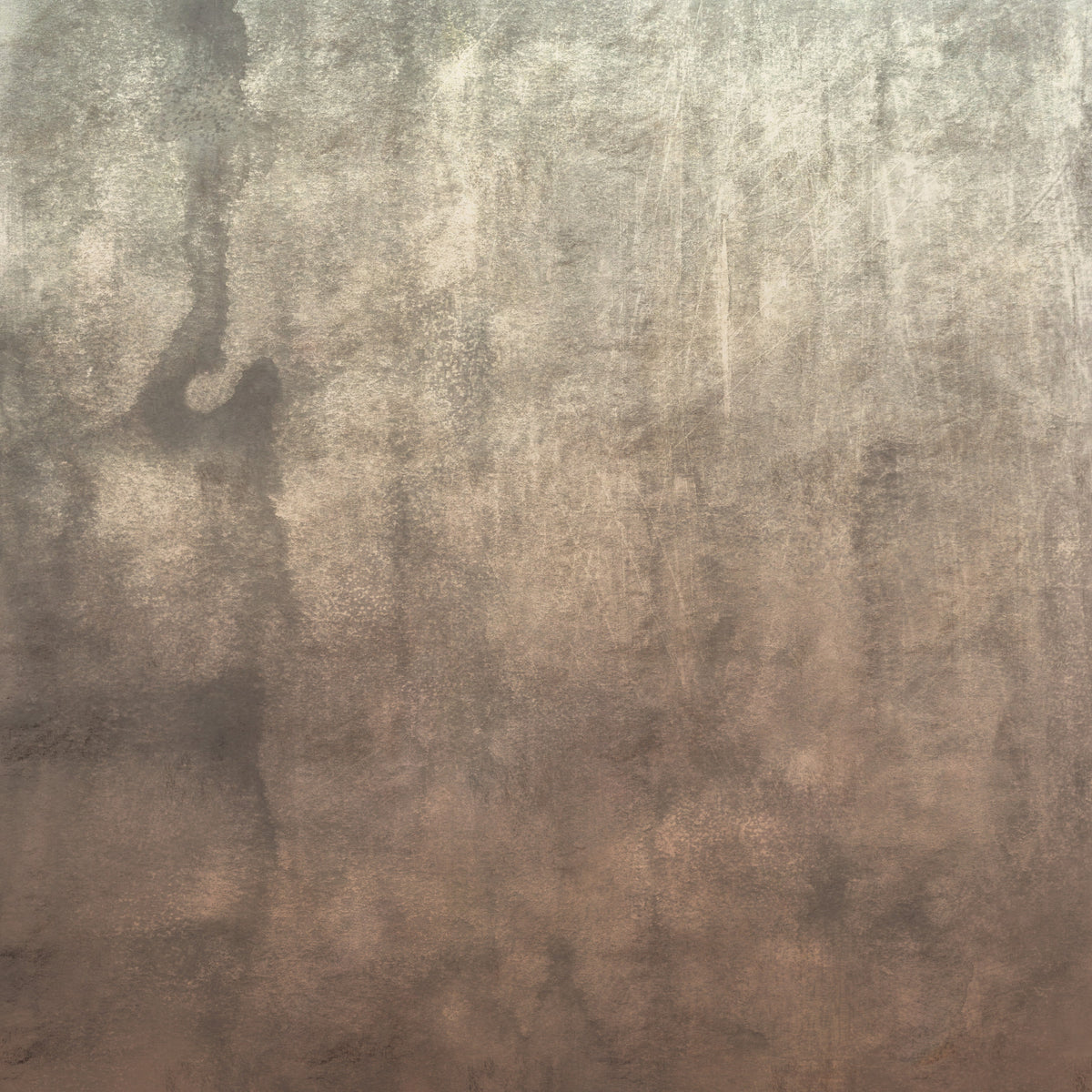 Earthy Textured Watercolour - Mushroom Wall Mural