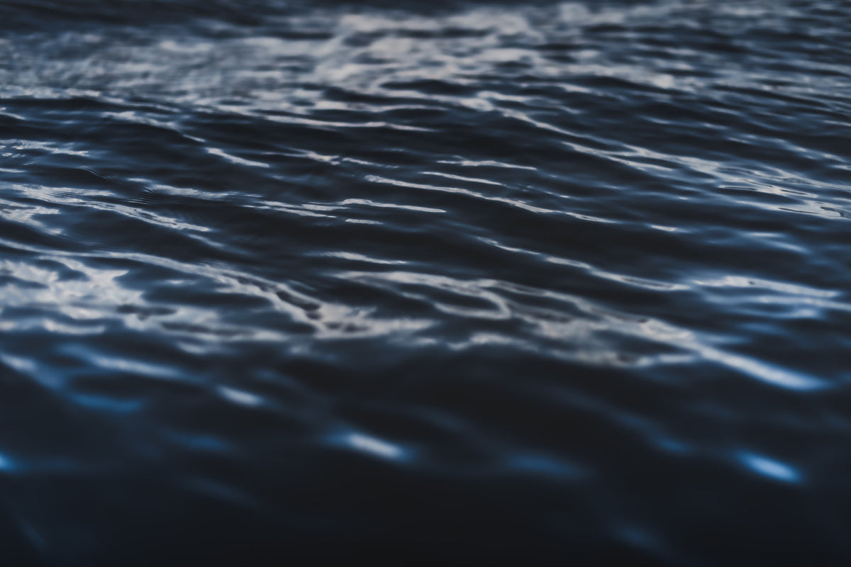 Deep Sea Ripples Wall Mural -2226382 in your room — zoomed