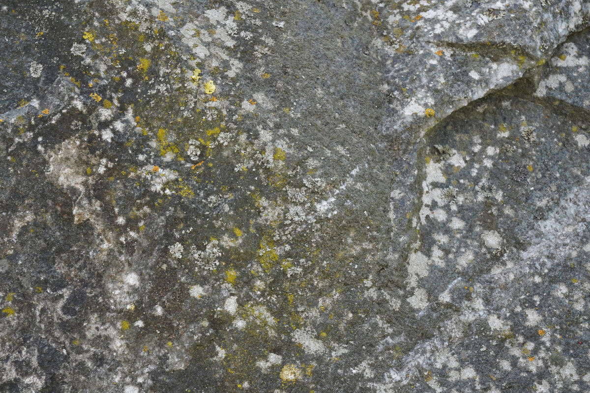 Stone Texture Wall Mural -2566622 in your room — zoomed