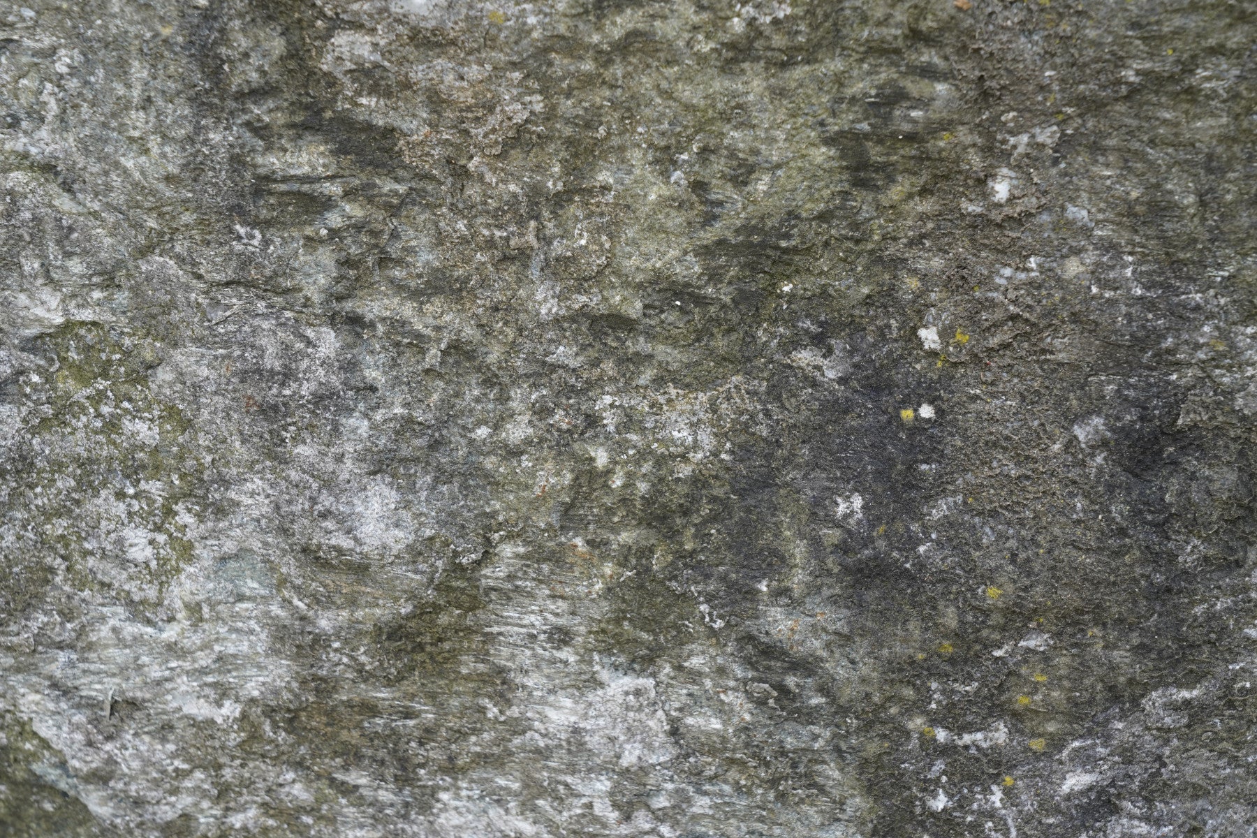 Granite Grit Wall Mural -2566620