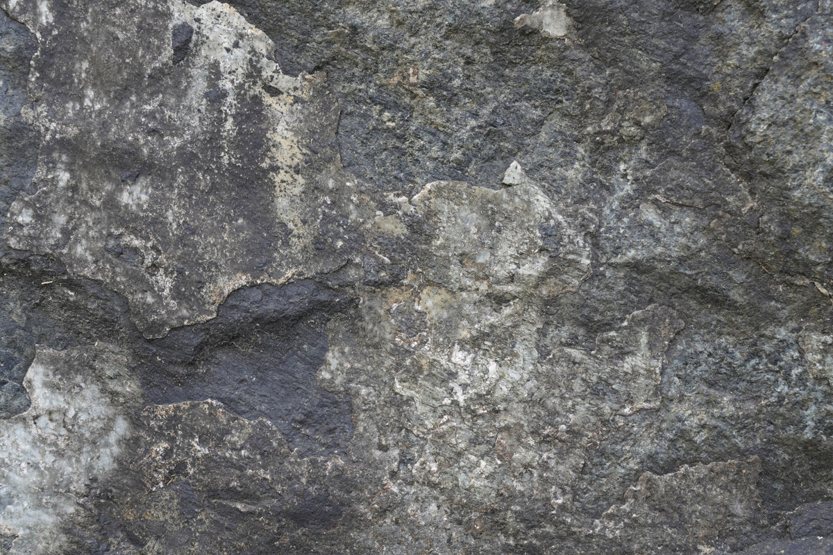 Nature's Rock Wall Mural - 2566616 in your room — zoomed