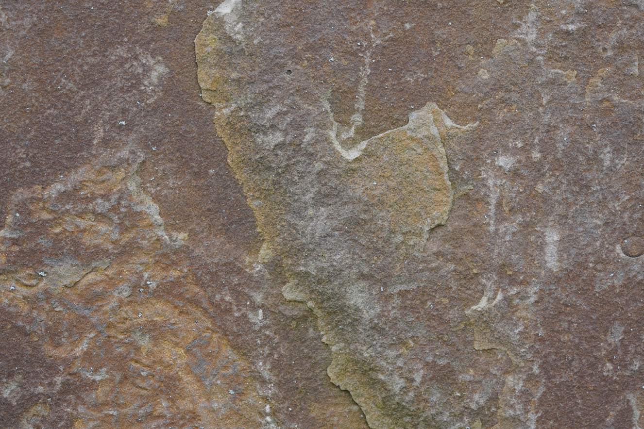 Earthy Stone Texture Wall Mural -2566597