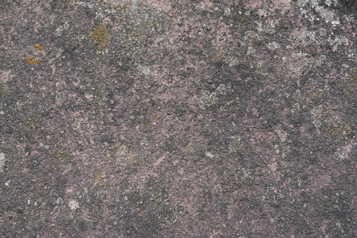 Aged Earth Wall Mural -2566601 in your room