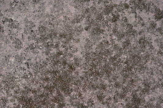 Grunge Finish Wall Mural -2566602