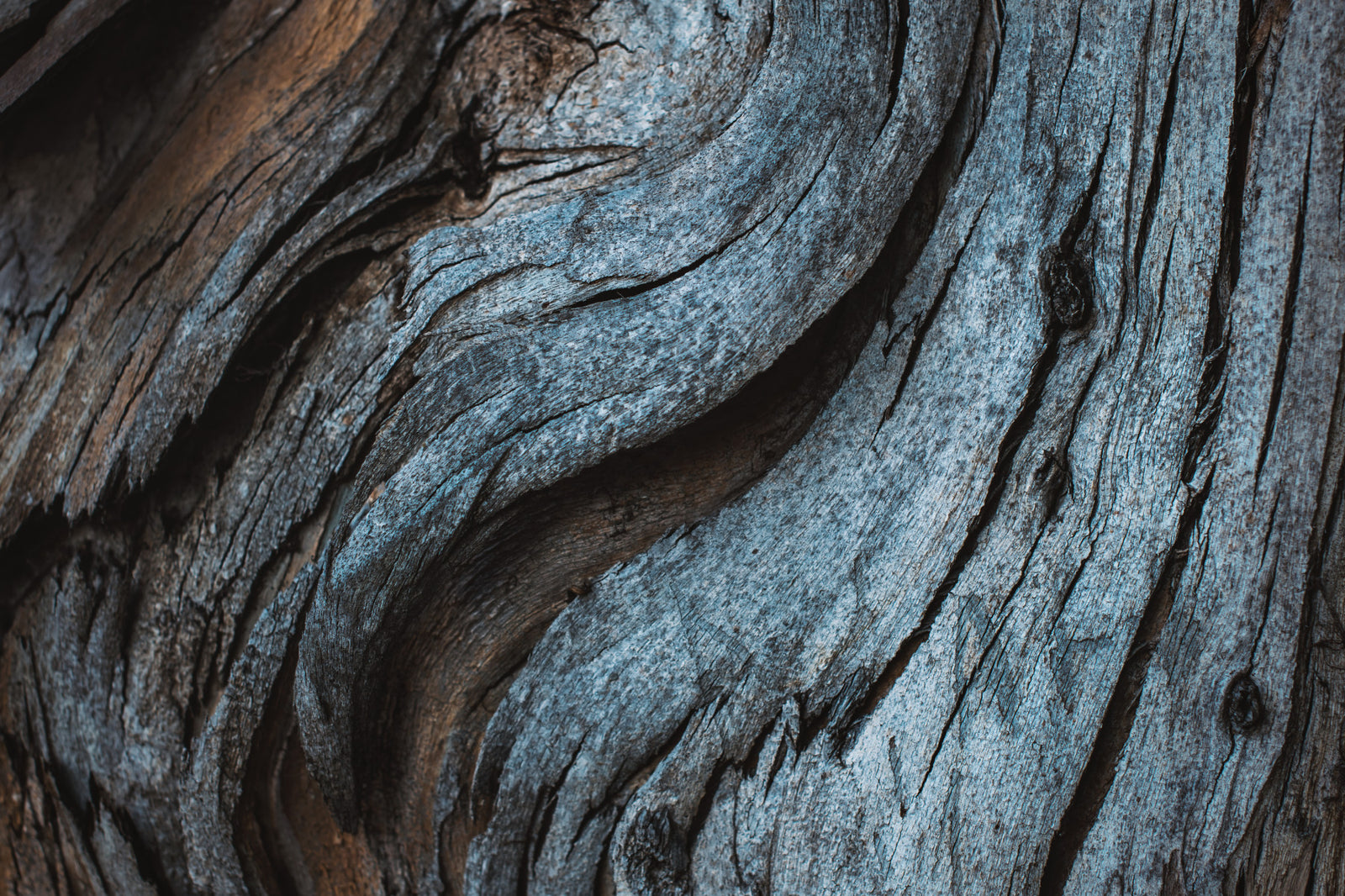 Rustic Blue Wood Wall Mural -2226211