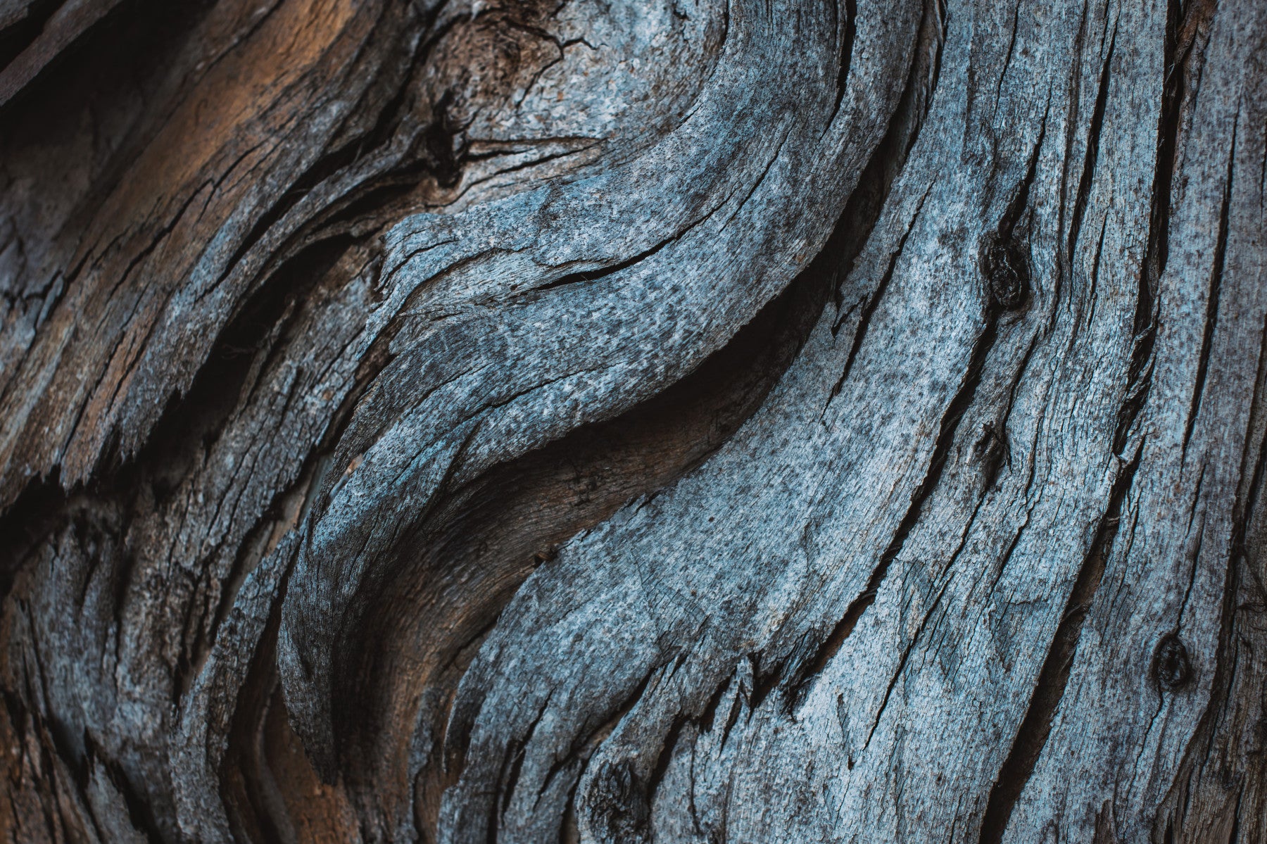 Rustic Blue Wood Wall Mural -2226211 in your room — zoomed