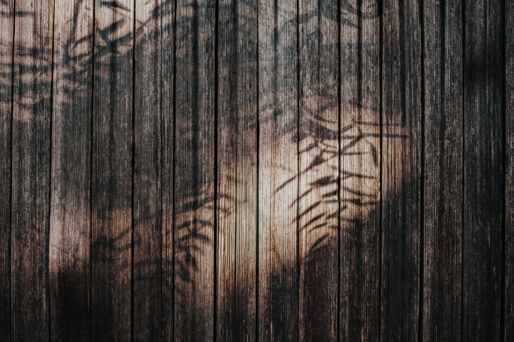 Ethereal Wood Grain Wall Mural -2226206