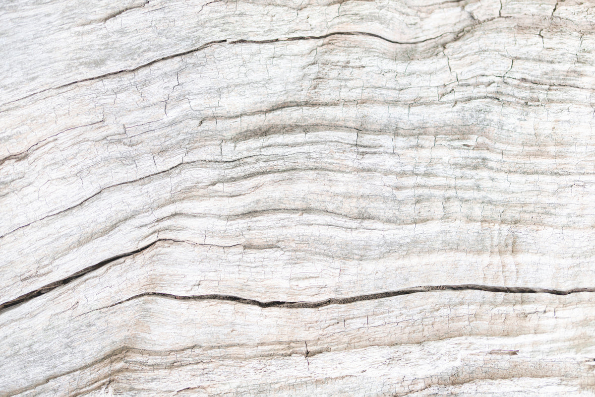 Driftwood Texture Wall Mural -2306171 in your room — zoomed