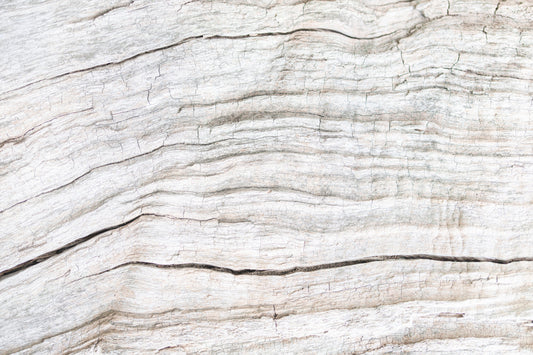 Driftwood Texture Wall Mural -2306171