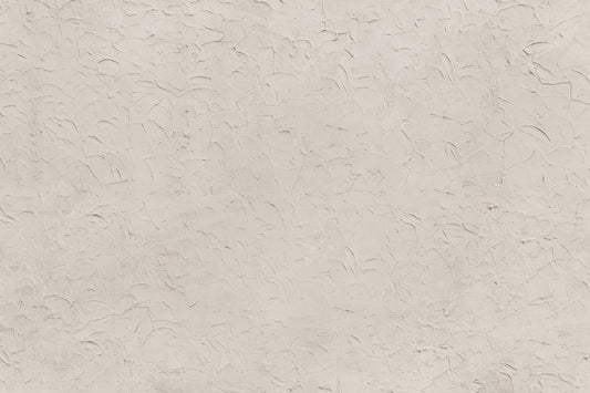 Plastered Beige Wall Mural -2306174