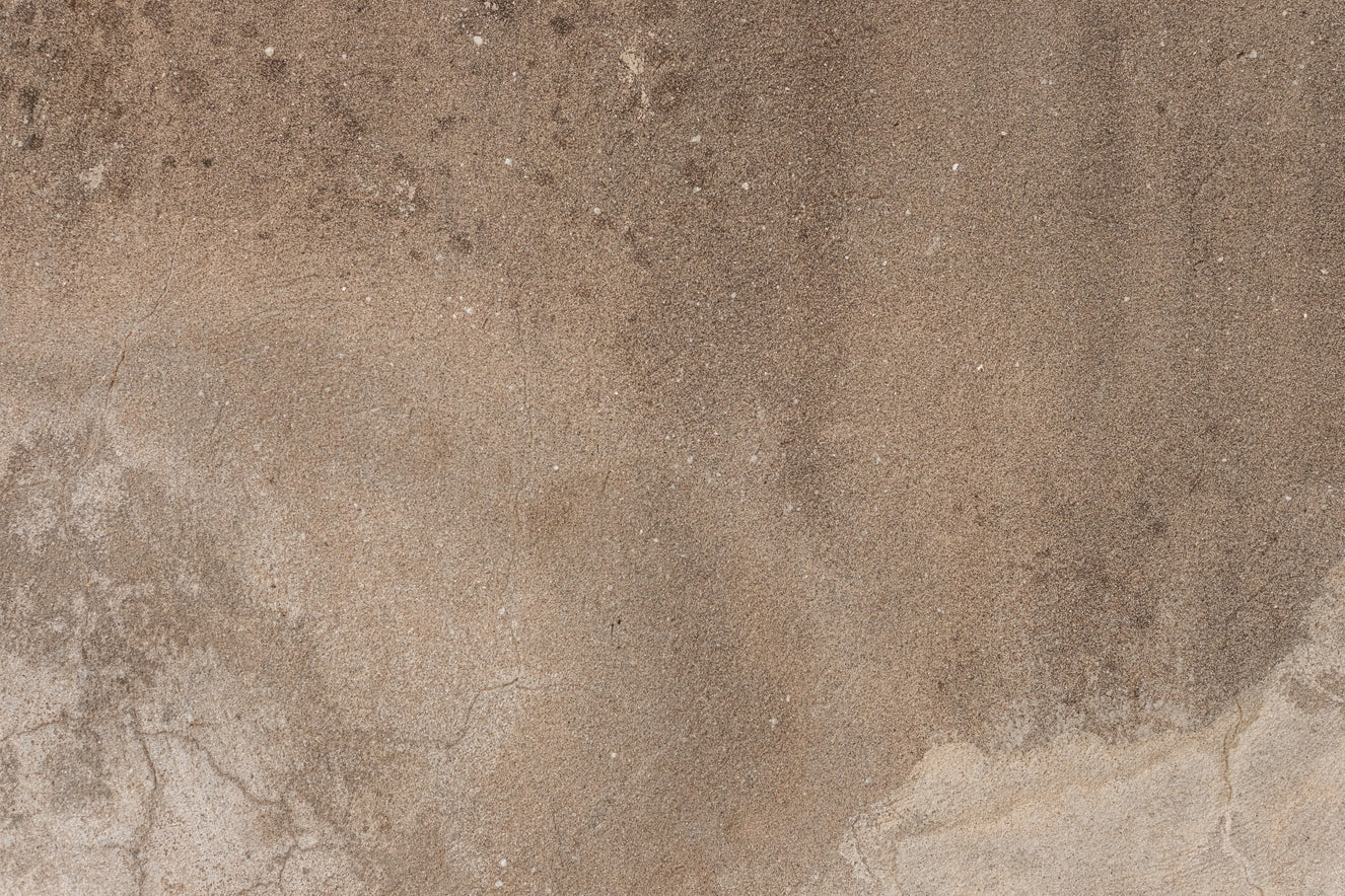 Earthy Canvas Wall Mural - 2306808