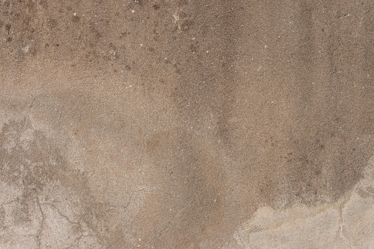 Earthy Canvas Wall Mural - 2306808