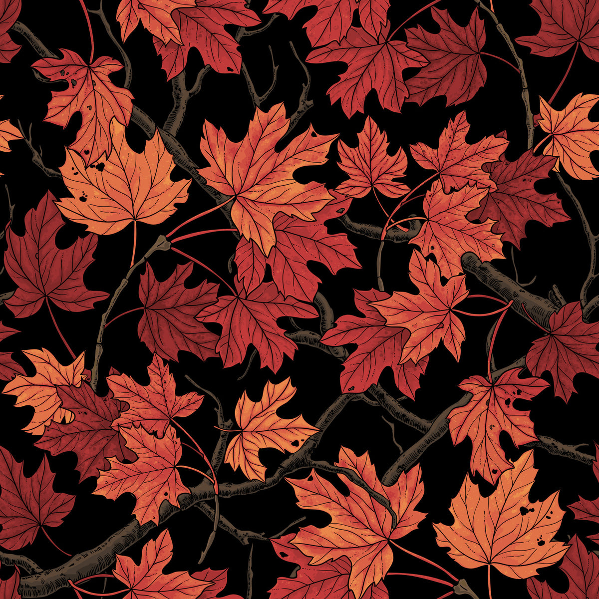 Red Autumn maple leaves on black Wallpaper⁠