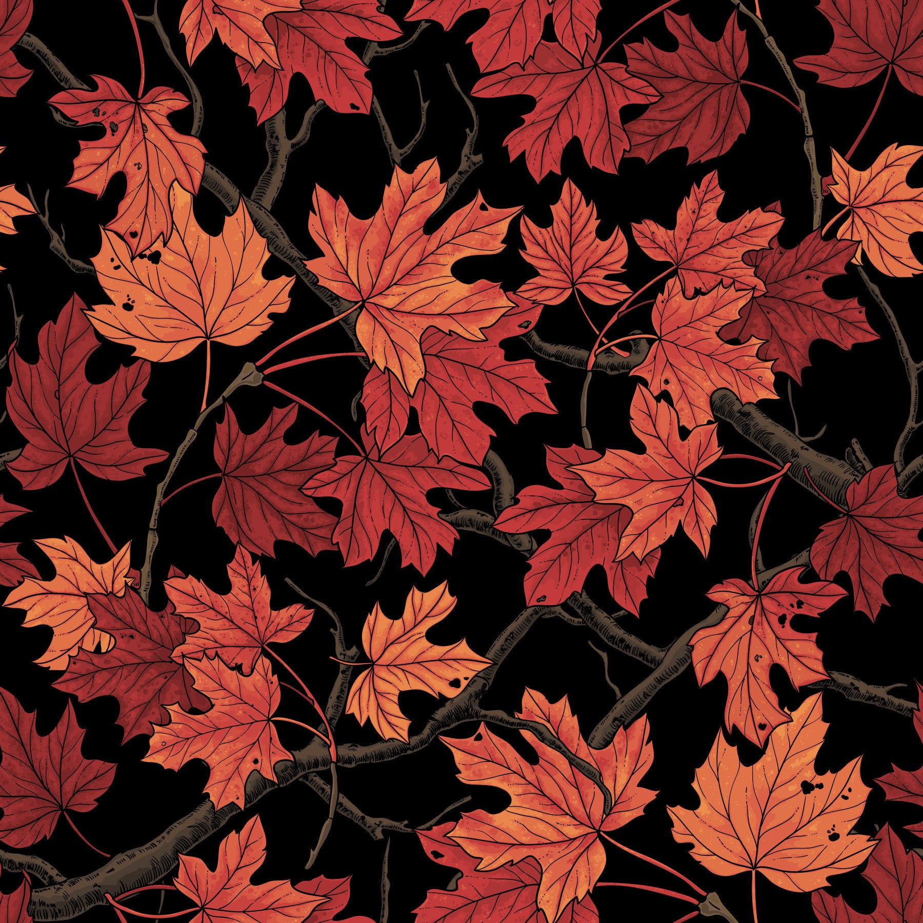 Red Autumn maple leaves on black Wallpaper⁠ in your room — zoomed