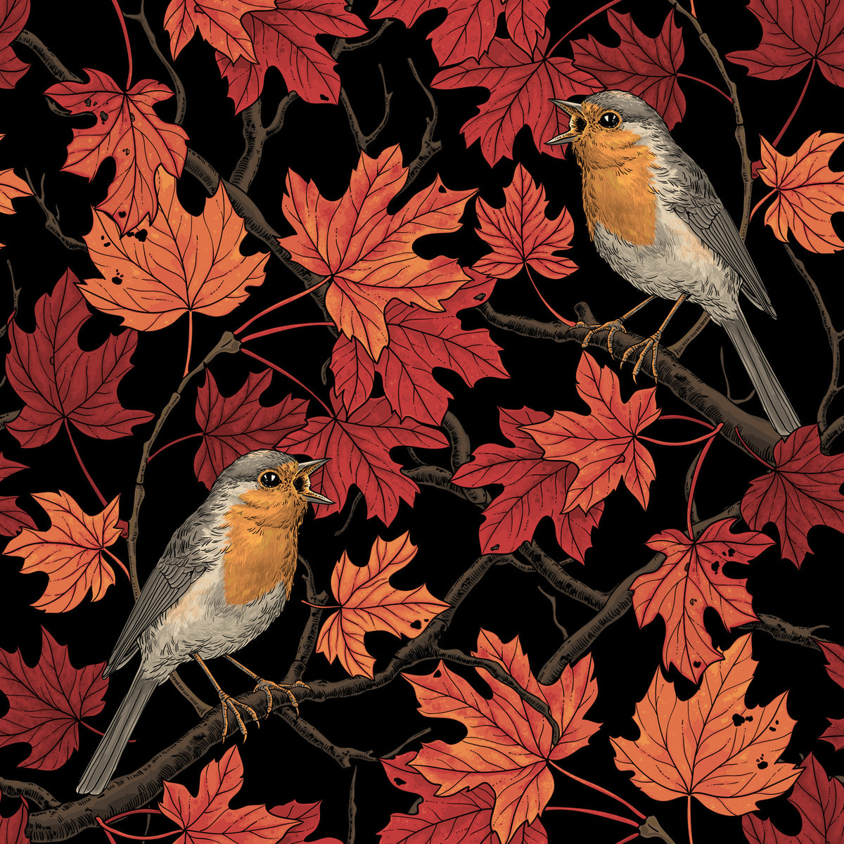 Robins in maple tree on black Wallpaper⁠ in your room