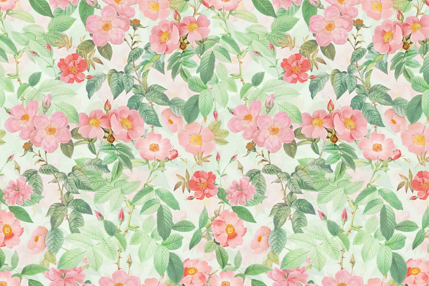 Vintage Redouté  Rose Garden Wall Mural in your room — zoomed