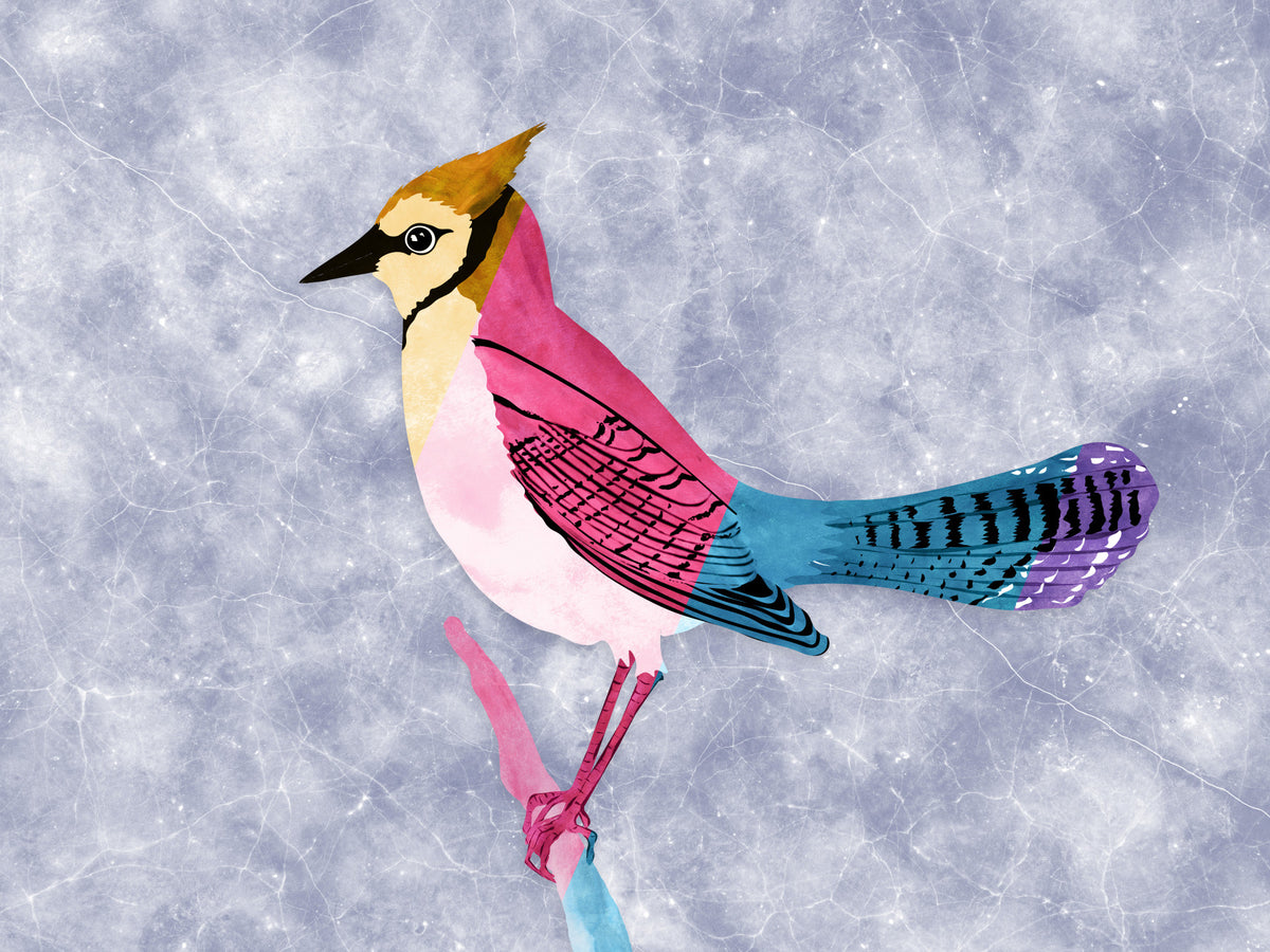 Colorful Jay Wall Mural in your room