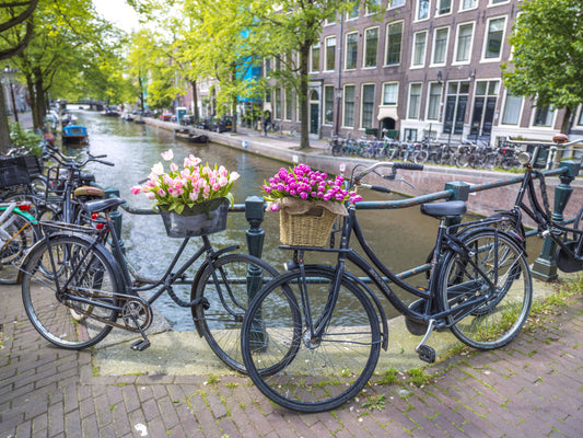 Amsterdam Blooms on Wheels Wall Mural