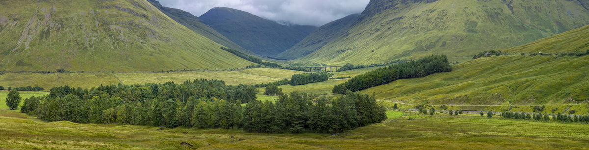 Scottish Highlands Vista Wall Mural in your room