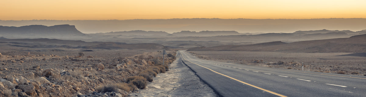 Traversing the Desert Wall Mural in your room — zoomed
