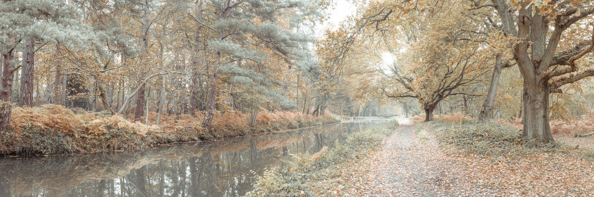Quiet Waters Wall Mural