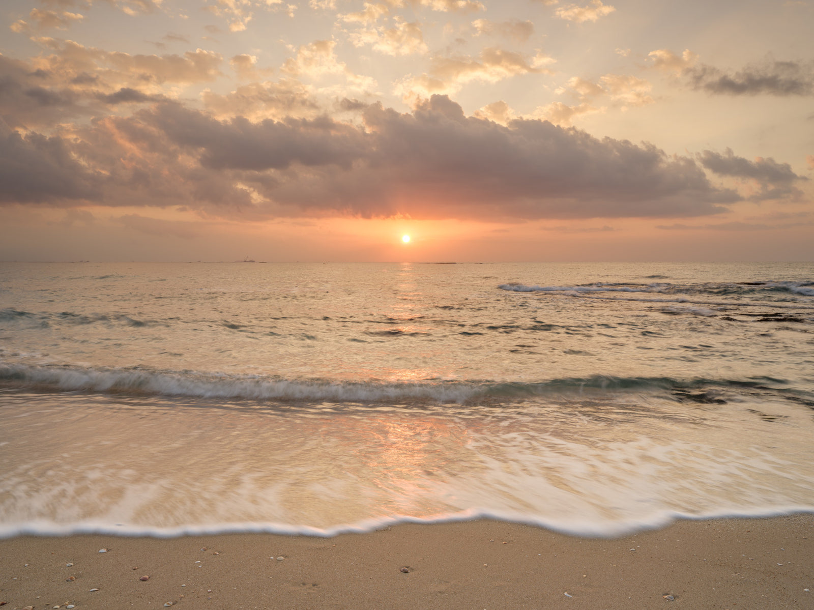 Gilded Shores at Dusk Wall Mural in your room