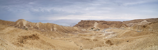 Arid Majesty: Desert Landscape Design Wall Mural
