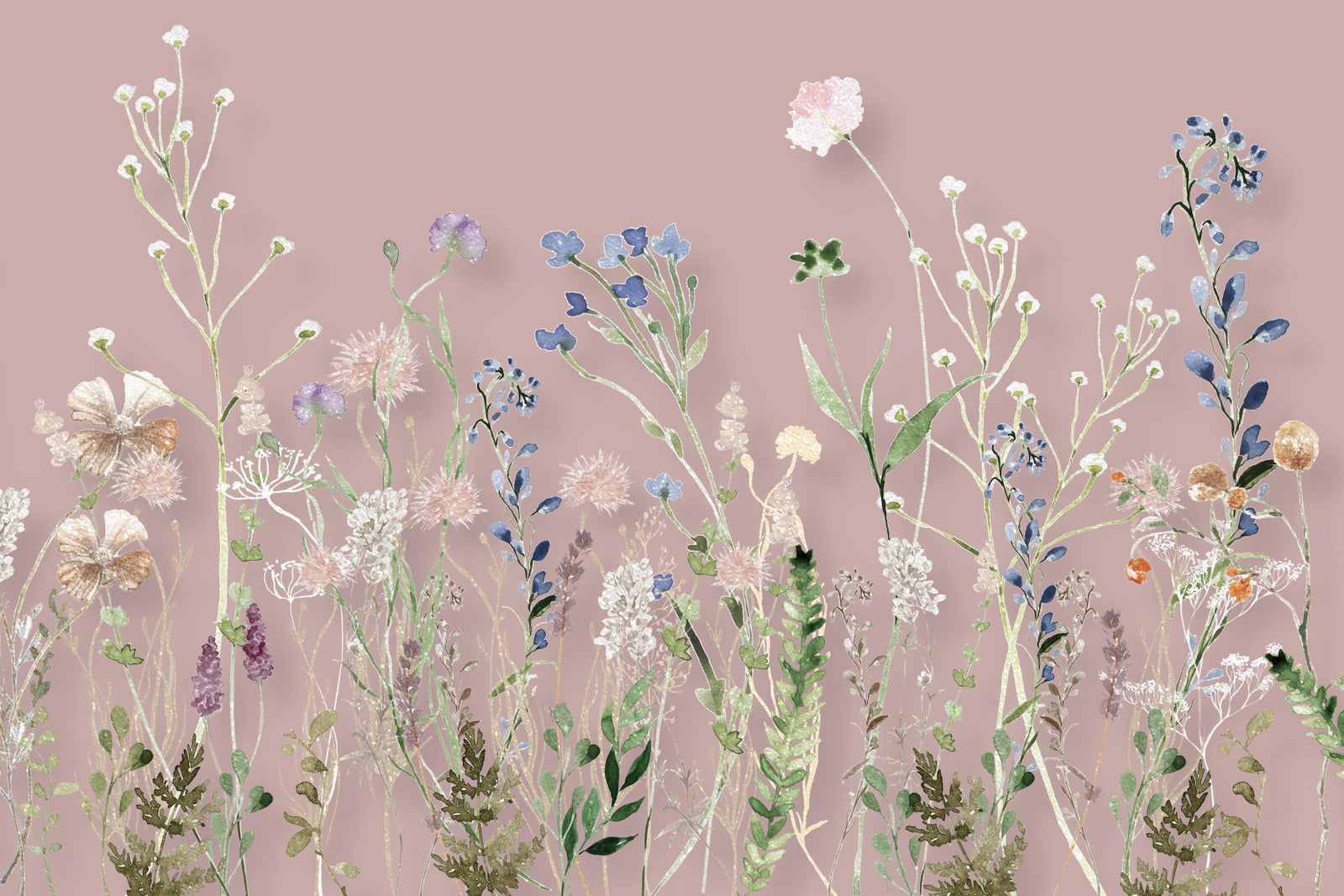 Blush Meadow Blooms Wall Mural - 3133173 in your room