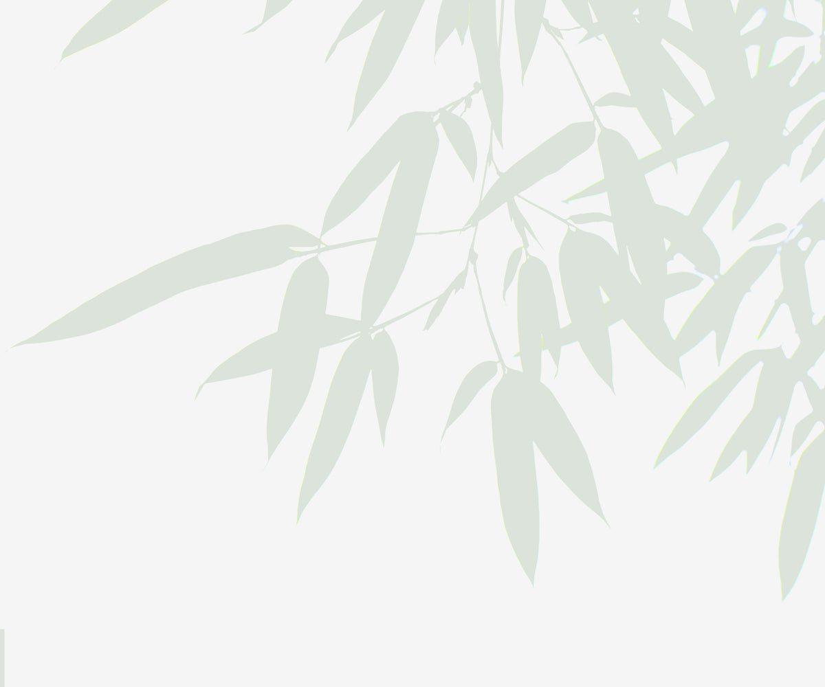 Bamboo Leaf Wall Mural in your room