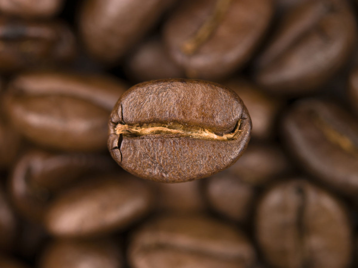 Coffee Infusion Wall Mural in your room — zoomed