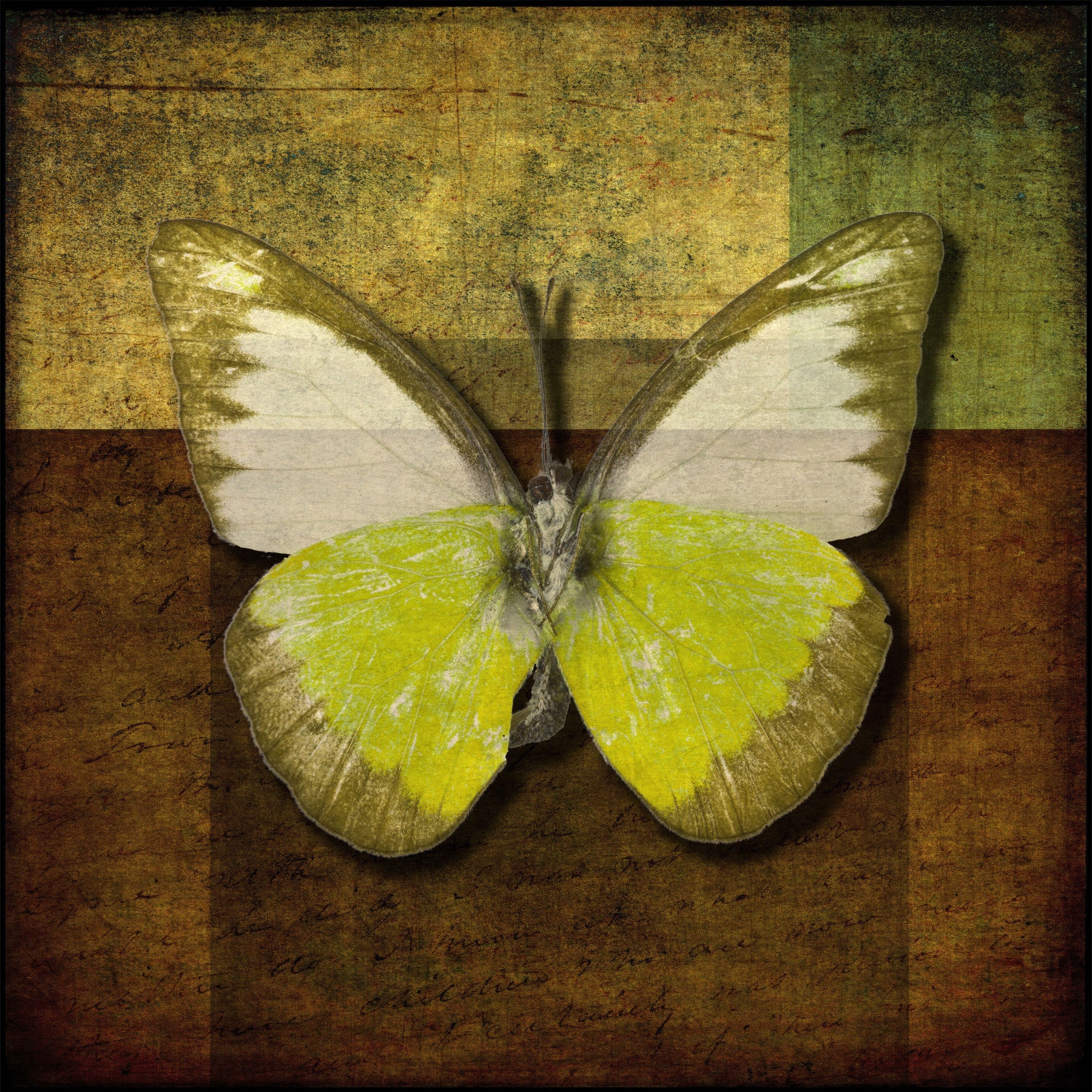 Butterfly Vintage Hues Wall Mural in your room — zoomed