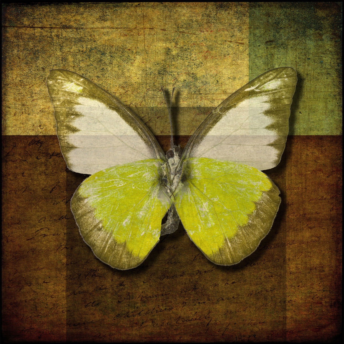 Golden Wings Wall Mural in your room — zoomed