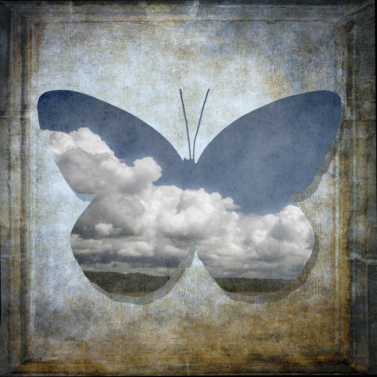 Butterfly Dreamscape Wall Mural in your room — zoomed