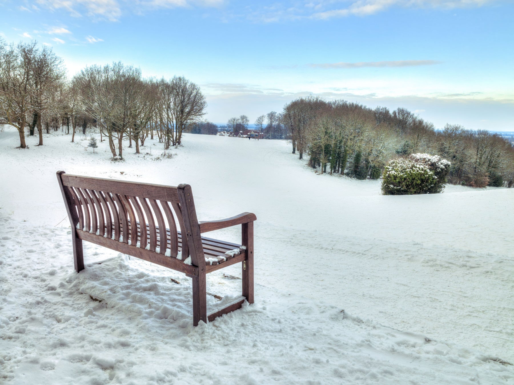 Bench in a Snowy Landscape Wall Mural