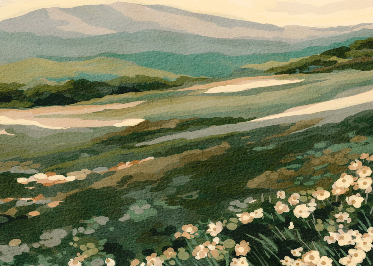 Floral Meadow Vista Wall Mural in your room — zoomed